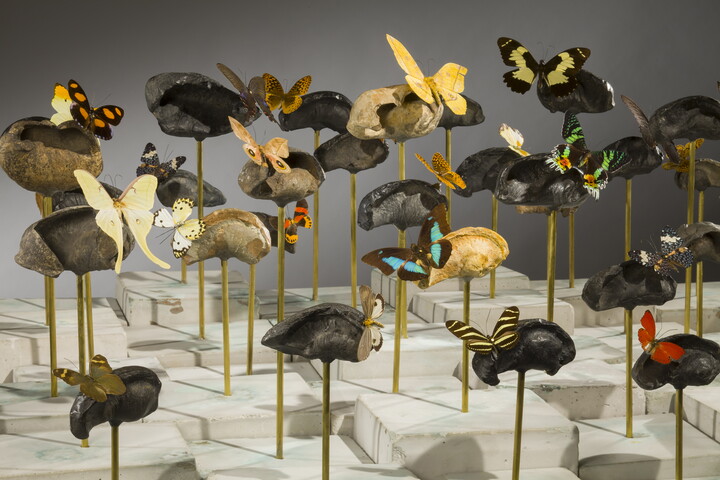 Multiple whale ear bones mounted atop gold rods with butterflies attached to each creating a sort of "forest."